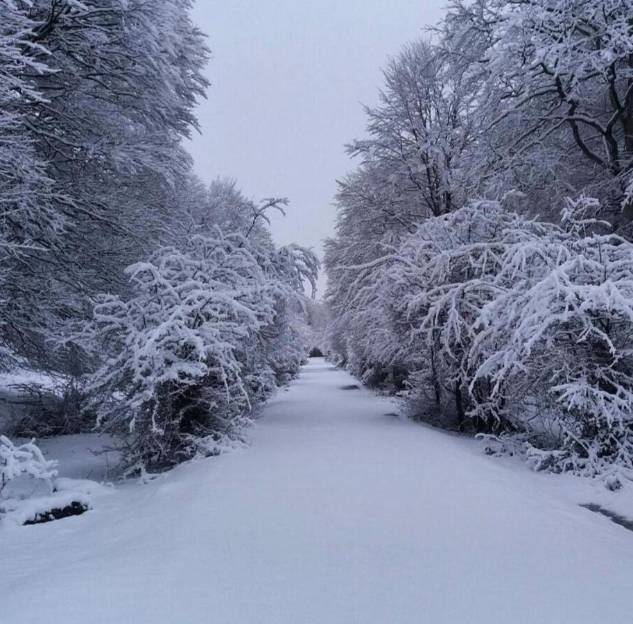 Andamur San Roman Экстерьер фото